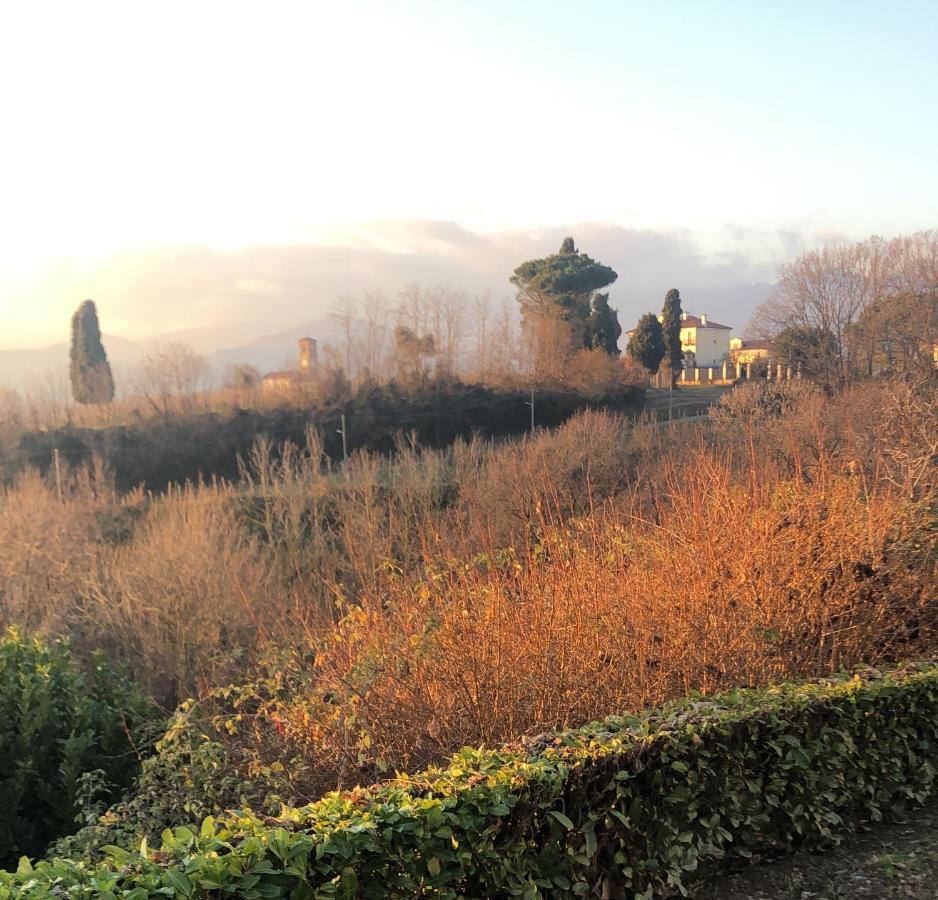Casa Regis Bed & Breakfast Lessona ภายนอก รูปภาพ